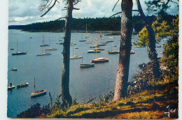 Delcampe - 29-BENODET-N°T301-B/0270 - Bénodet