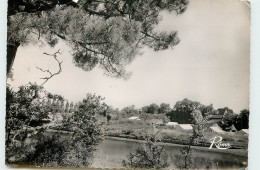 Delcampe - 29-BENODET-N°T301-B/0106 - Bénodet