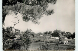 Delcampe - 29-BENODET-N°T301-B/0058 - Bénodet