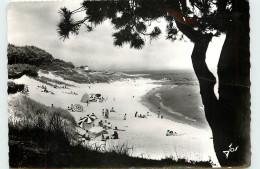 Delcampe - 29-BEG-MEIL-N°T301-A/0424 - Beg Meil