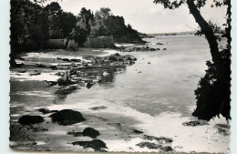 Delcampe - 29-BEG-MEIL-N°T301-A/0394 - Beg Meil