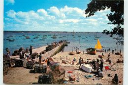 Delcampe - 29-BEG-MEIL-N°T301-A/0372 - Beg Meil