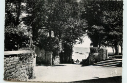 Delcampe - 29-BEG-MEIL-N°T301-A/0328 - Beg Meil