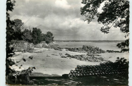 Delcampe - 29-BEG-MEIL-N°T301-A/0332 - Beg Meil