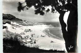 Delcampe - 29-BEG-MEIL-N°T301-A/0308 - Beg Meil