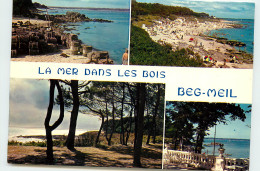 Delcampe - 29-BEG-MEIL-N°T301-A/0290 - Beg Meil