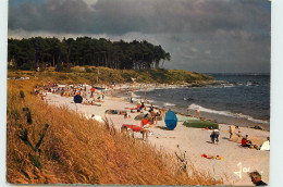 Delcampe - 29-BEG-MEIL-N°T301-A/0298 - Beg Meil