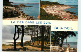 Delcampe - 29-BEG-MEIL-N°T301-A/0310 - Beg Meil