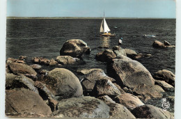 Delcampe - 29-BEG-MEIL-N°T301-A/0294 - Beg Meil