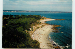 Delcampe - 29-BEG-MEIL-N°T301-A/0296 - Beg Meil