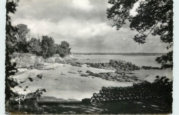 Delcampe - 29-BEG-MEIL-N°T301-A/0266 - Beg Meil