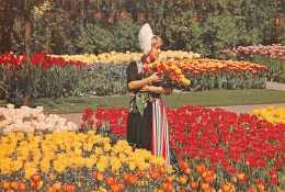 Delcampe - 78 RAMBOUILLET HOLLAND EN BLOEMMOTIEF - Rambouillet (Schloß)