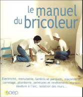 Delcampe - Le Manuel Du Bricoleur (2005) De Philippe Bierling - Do-it-yourself / Technical