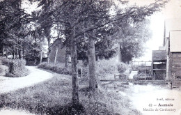 Delcampe - 76 - Seine Maritime - AUMALE - Un Moulin Au Cardonnoy - Aumale