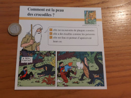 Delcampe - FICHE ATLAS COLLECTION TINTIN "ANIMAUX SAUVAGES N°39 - Crocodile" - Autres & Non Classés