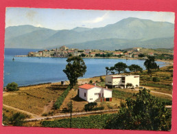 Delcampe - CP(Réf :II977) SAINT-FLORENT  (20 B HAUTE CORSE)  Vue Générale Et Le Golf De SAINT-FLORENT - Autres & Non Classés