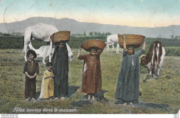 Delcampe - 1825 A 8 Filles Arabes Dans Le Moisson - Altri & Non Classificati