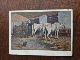 Delcampe - HORSE IN ART  - Old Art  Postcard  - Samokish" Old Trotter Mares"  1932 - Horses