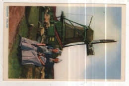 Delcampe - AK 261973 COSTUME / TRACHTEN - Holland - Volendam - Trachten