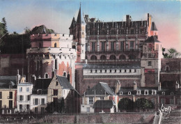 Delcampe - 37 AMBOISE LE CHATEAU - Amboise