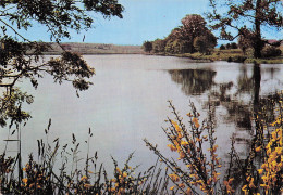 Delcampe - 57 CREUTZWALD L ETANG DES HOUILLERES - Creutzwald