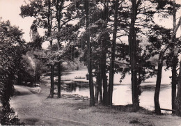 Delcampe - 63 CHATEL GUYON CENTRE THERMAL - Châtel-Guyon