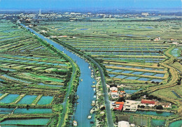 Delcampe - 17 MARENNES MUSEE: CAPTAGE ET VIE DE L HUITRE - Marennes