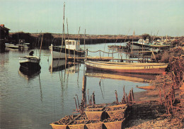 Delcampe - 17 MARENNES CHENAL DE LA CAYENNE - Marennes