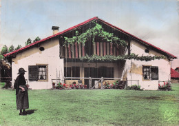 Delcampe - 40 DAX STATION THERMALE - Dax