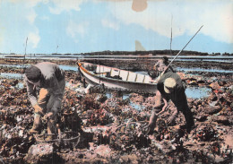 Delcampe - 17 CHATELAILLON PLAGE CLIMAT IDEAL - Châtelaillon-Plage