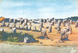 Delcampe - 56  QUIBERON LES ALIGNEMENTS DU MENEC - Quiberon