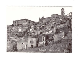 Delcampe - LEONFORTE - PANORAMA SUD - ENNA - NON VIAGGIATA - Enna