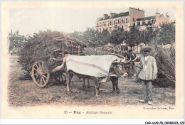 Delcampe - CAR-AAWP8-64-0628 - PAU - Attelage Béarnais - Pau