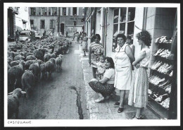 Delcampe - 1986  --  CASTELLANE . PASSAGE DE LA TRANSHUMANCE . 4C978 - Sin Clasificación