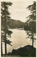 Delcampe - CPA Oberharz Grumbacher Teich - Oberharz