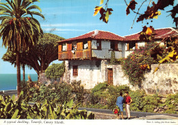 Delcampe - Espagne TENERIFE - Tenerife