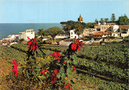 Delcampe - Espagne ICOD DE LOS VINOS TENERIFE - Tenerife