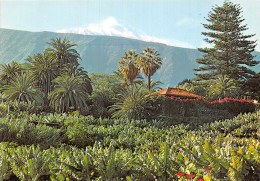 Delcampe - Espagne PLATANERAS TENERIFE - Tenerife