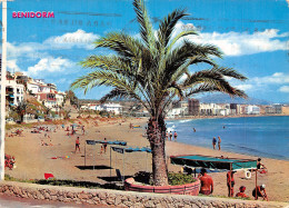 Delcampe - Espagne BENIDORM COMUNIDAD VALENCIANA - Alicante