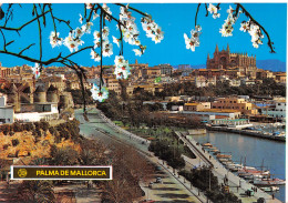 Delcampe - Espagne PALMA DE MALLLORCA - Palma De Mallorca