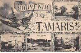 Delcampe - 83-AM22539.Tamaris.Souvenir.Vue D'ensemble.Pli - Tamaris
