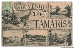 Delcampe - CAR-ADCP15-0834-83 - Souvenir De - TAMARIS - Tamaris