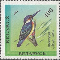 Delcampe - Belarus - Kingfisher (Alcedo Atthis), MINT, 1994 - Belarus
