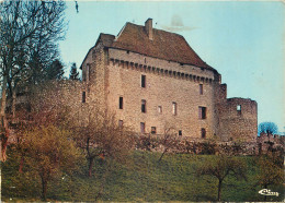 Delcampe - 23 PONTARION LE CHÂTEAU - Pontarion