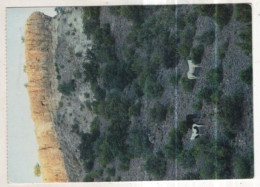 Delcampe - AK 262663 USA - Paarden In New Mexico - Other & Unclassified