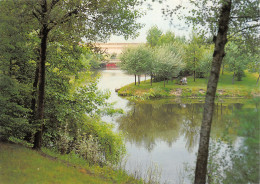 Delcampe - 59-DENAIN-N°3368-A/0229 - Denain