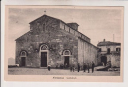 Delcampe - FERENTINO FROSINONE  CATTEDRALE  NO VG - Frosinone