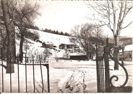 Delcampe - Environs De GANGES (34) Station D'Hiver De L'ESPEROU-MONT-AIGOUAL - Un Coin De L'Espérou  CPSM  GF - Ganges