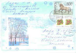 Delcampe - Belarus Special Cover Winter With Stamps, Horse, Berries, 2004 - Belarus