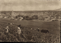 Delcampe - CPSM Champagne Pommery Greno Reims Vue Générale - Reims